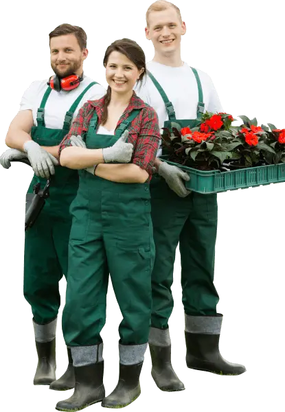 Paysagiste jardinier dans les Yvelines
