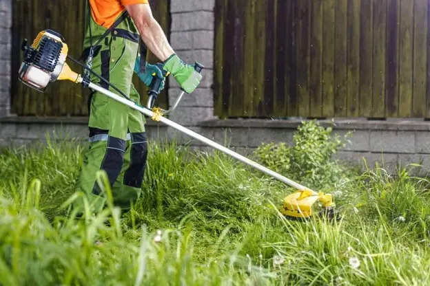 Service de Débroussaillage Domont