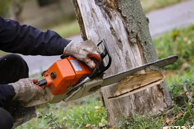 Service d'abattage d'arbre à domont