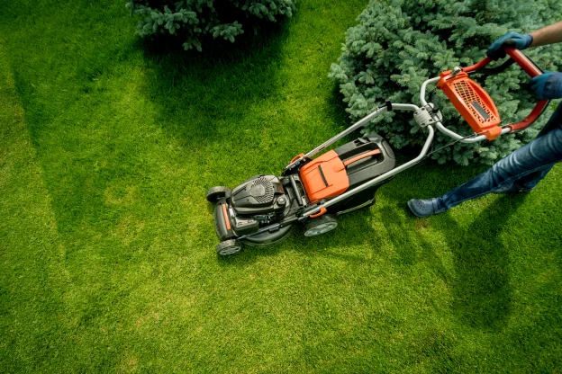 Service d'entretien de jardin et espace à Domont 95300